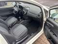 Fiat Punto Evo 1.2.MyLife.Klima.PDC. Blanc - thumbnail 17