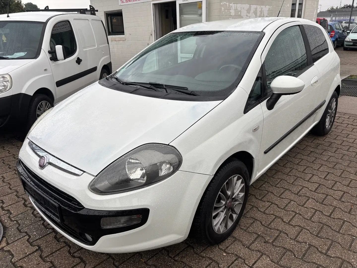 Fiat Punto Evo 1.2.MyLife.Klima.PDC. Weiß - 1