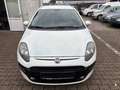 Fiat Punto Evo 1.2.MyLife.Klima.PDC. Blanc - thumbnail 3