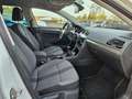 Volkswagen Golf VII 1.4 TSI Allstar NAVI CAM LM SHZ TEMPOM Weiß - thumbnail 13