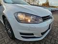 Volkswagen Golf VII 1.4 TSI Allstar NAVI CAM LM SHZ TEMPOM Weiß - thumbnail 14