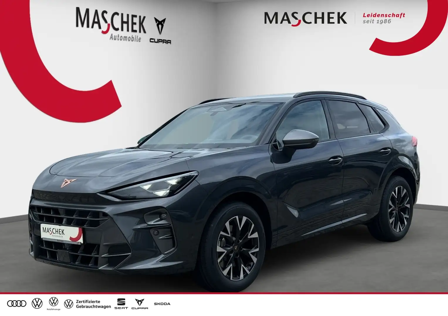 CUPRA Terramar 2.0 TSi 4Drive DSG EDGE AHK HeadUp Navi Travelass. Grau - 1