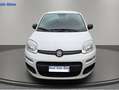Fiat Panda Panda III 2012 1.2 Easy 69cv E6 Bianco - thumbnail 4