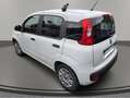Fiat Panda Panda III 2012 1.2 Easy 69cv E6 Bianco - thumbnail 6