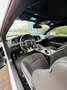 Dodge Challenger 6.4 V8 Scat Pack 485cv at8 - thumbnail 12