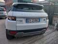 Land Rover Range Rover Evoque Evoque I 2011 5p 2.2 td4 Launch edition 150cv Bianco - thumbnail 5