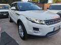 Land Rover Range Rover Evoque Evoque I 2011 5p 2.2 td4 Launch edition 150cv Bianco - thumbnail 3