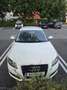 Audi A3 A3 1,6 Jubiläumsmodell Jubiläumsmodell Weiß - thumbnail 2