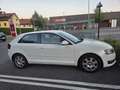 Audi A3 A3 1,6 Jubiläumsmodell Jubiläumsmodell Weiß - thumbnail 4