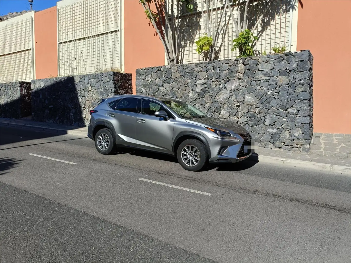 Lexus NX 300h NX 300h Business 2WD Business Plateado - 2