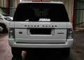 Land Rover Range Rover Range Rover Mark V V8 Supercharged Vogue SE A Blanc - thumbnail 6