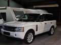 Land Rover Range Rover Range Rover Mark V V8 Supercharged Vogue SE A Blanc - thumbnail 2
