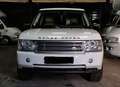 Land Rover Range Rover Range Rover Mark V V8 Supercharged Vogue SE A Blanc - thumbnail 5