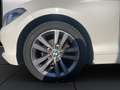 BMW 116 Serie 1 F/20-21 2015 116d Urban 5p auto Weiß - thumbnail 17