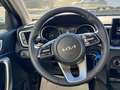 Kia Ceed SW / cee'd SW Ceed SW 1,5T - GDi DCT Spin  (EU Fahrzeug) Grau - thumbnail 14