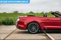 Ford Mustang Convertible Rouge - thumbnail 7