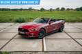 Ford Mustang Convertible Rouge - thumbnail 8