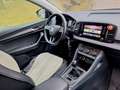 Skoda Karoq Karoq 1,0 TSI City City Grau - thumbnail 19