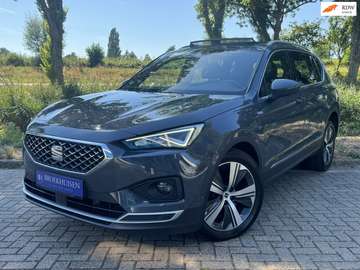 1.4 TSI e-Hybrid PHEV Xcellence 245pk Panoramadak