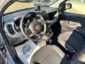 Fiat Panda Panda 1.0 firefly hybrid City Cross s Gris - thumbnail 7