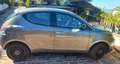 Lancia Y Grau - thumbnail 1