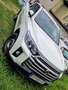 SsangYong Musso My25 Style Blanc - thumbnail 2