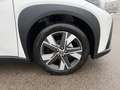 Toyota Aygo X 1,5 Hybrid 116PS Active | ab €18.990 Weiß - thumbnail 25