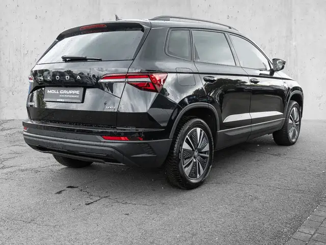 Skoda Karoq view 5