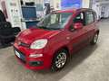 Fiat Panda Panda 1.2 Lounge 69cv E6 - thumbnail 1