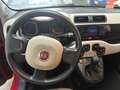 Fiat Panda Panda 1.2 Lounge 69cv E6 - thumbnail 5