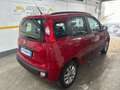 Fiat Panda Panda 1.2 Lounge 69cv E6 - thumbnail 11