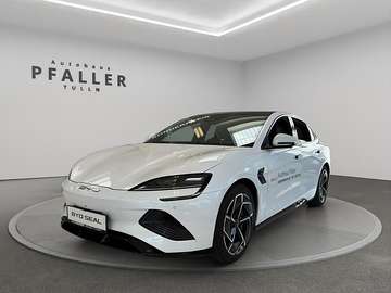Excellence Österreich Paket 82,5kWh AWD