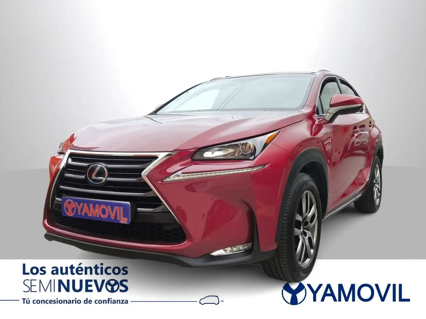 Lexus NX 300 300h Executive 4WD Rouge - 1