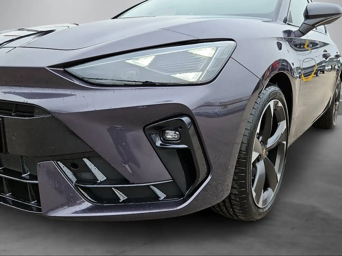 CUPRA Leon 1.5 TSI ACT Violett - 2