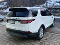Land Rover Discovery 3.0 SD6 HSE 4x4 Automatic LED 7 Posti Bianco - thumbnail 5