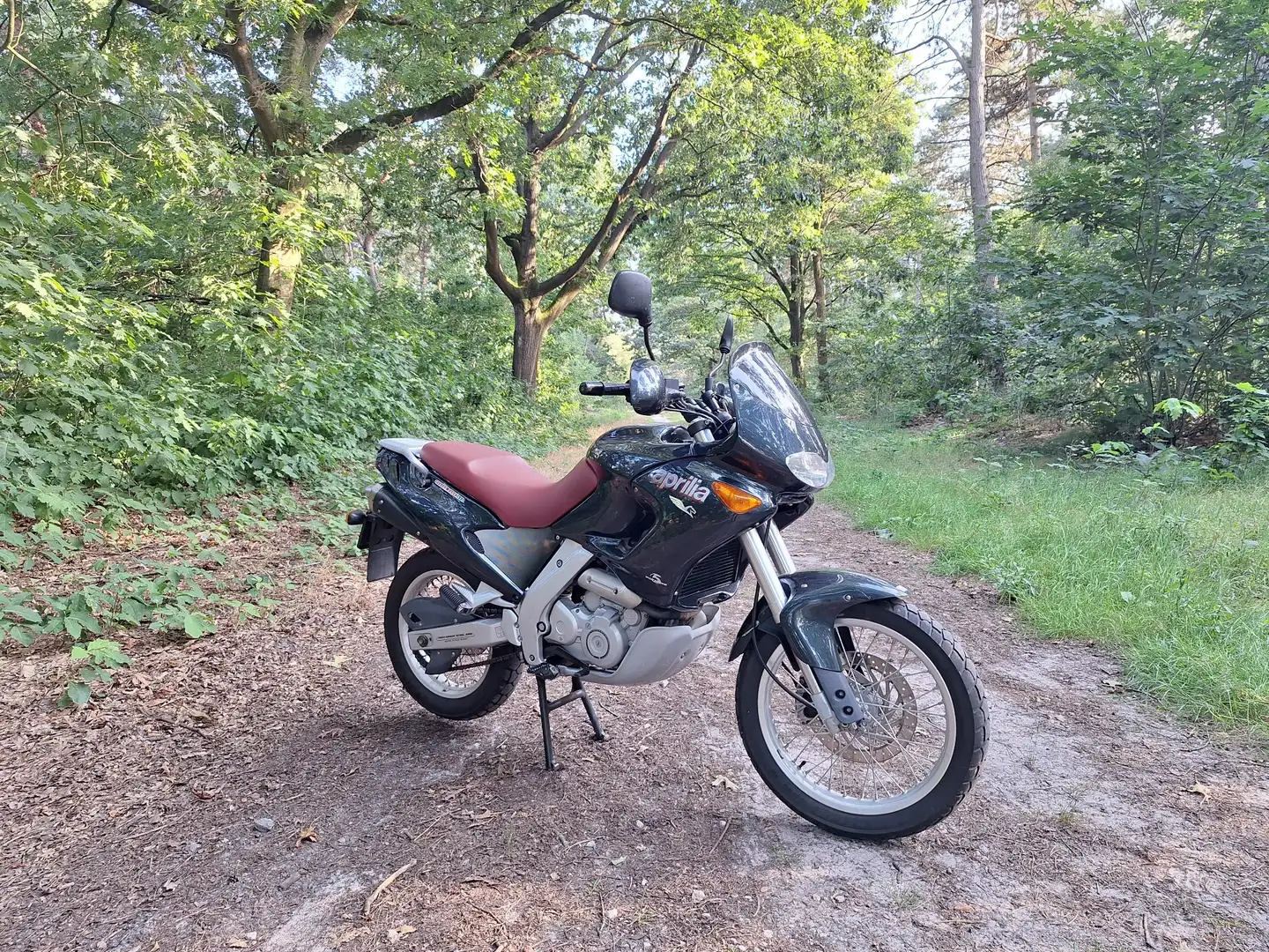 Aprilia Pegaso 650 Verde - 1