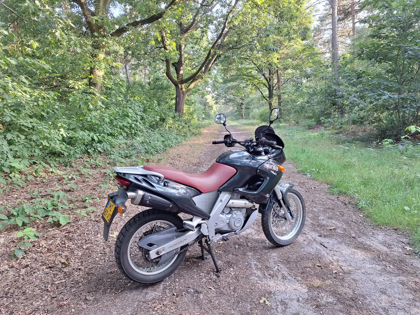 Aprilia Pegaso 650 Verde - 2