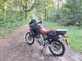Aprilia Pegaso 650 Verde - thumbnail 4