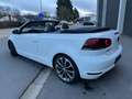 Volkswagen Golf Cabriolet Golf Cabriolet 1.6 CR TDi - thumbnail 2