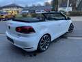 Volkswagen Golf Cabriolet Golf Cabriolet 1.6 CR TDi - thumbnail 3