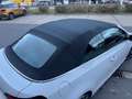 Volkswagen Golf Cabriolet Golf Cabriolet 1.6 CR TDi - thumbnail 8