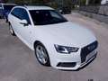 Audi A4 A4 Avant 35 2.0 tdi S line edition 150cv s-tronic Bianco - thumbnail 6