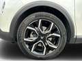 Citroen E-C4 X C4 X e-Shine Weiß - thumbnail 13