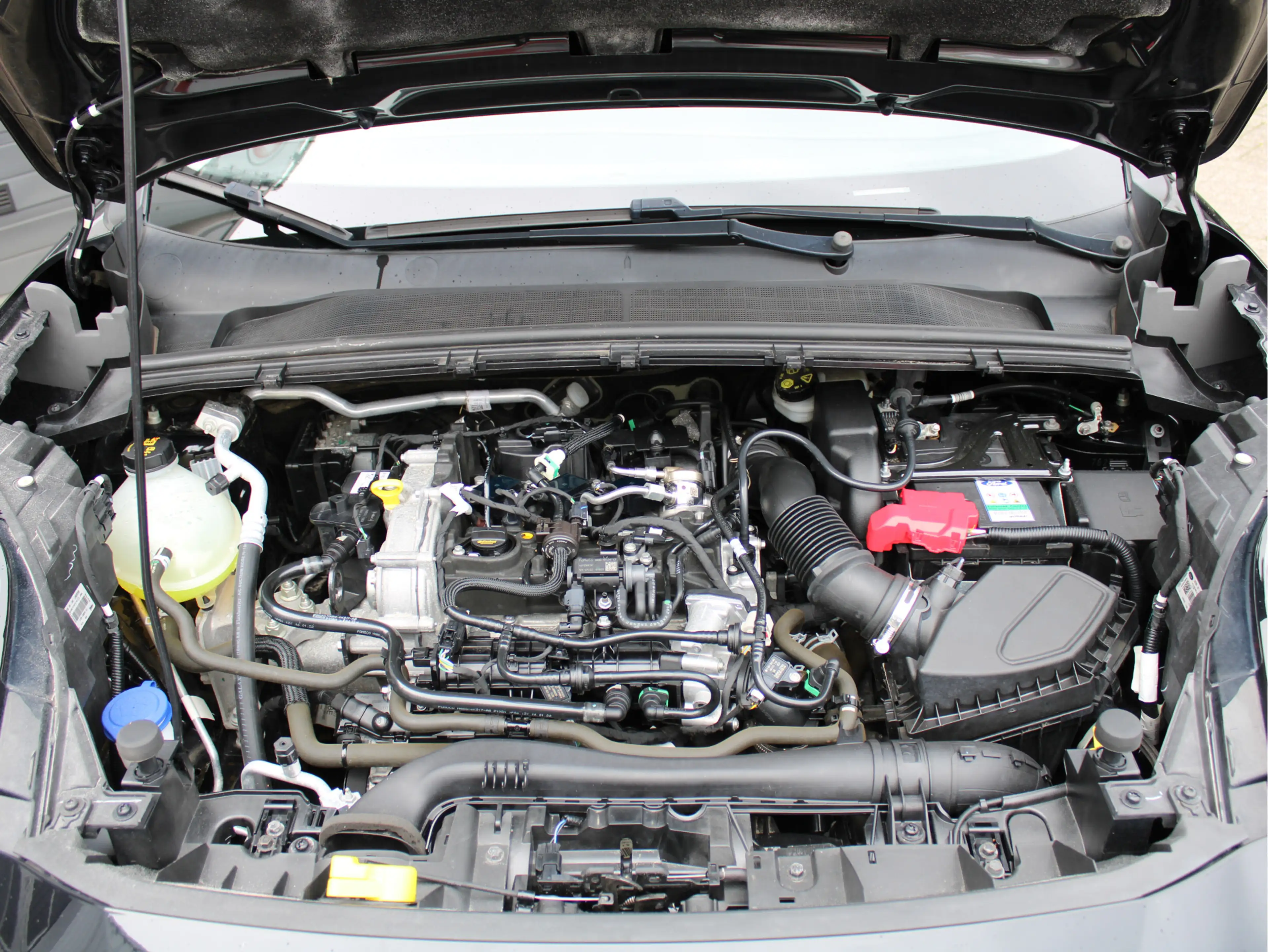 Ford Puma 1.0 EcoBoost Automaat Hybrid Titanium /Climate/Cru — photo 30