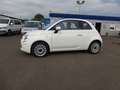 Fiat 500C Weiß - thumbnail 7