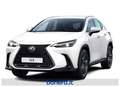 Lexus NX 450h+ 2.5 phev Premium+ 4wd e-cvt Bianco - thumbnail 1