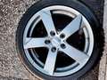 Skoda Octavia Octavia Combi 1,6 TDI Ambition Ambition - thumbnail 5