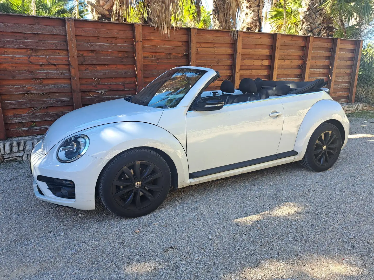 Volkswagen Beetle Cabrio. 1.200, 75 KV Black Edition - 1