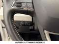 SEAT Arona 1.0 TSI DSG XCELLENCE PARKL LED 4SEASON Weiß - thumbnail 20