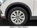 SEAT Arona 1.0 TSI DSG XCELLENCE PARKL LED 4SEASON Weiß - thumbnail 16